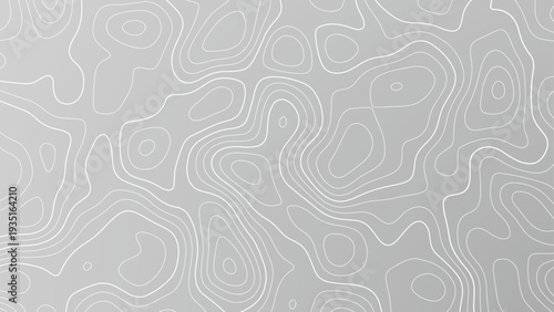 Gray background with topographic contour