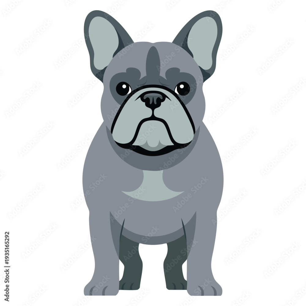 Fototapeta premium Cartoon illustration of gray french bulldog standing on four legs, adorable pet character design ideal for animal lover, veterinary and mascot themes