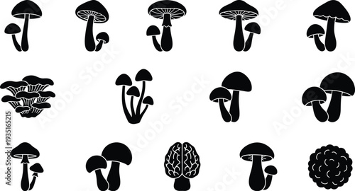 Silhouette illustration of twelve diverse mushroom shapes in grid layout, symbolizing fungi variety, morphology, education, nature, and botanical study.