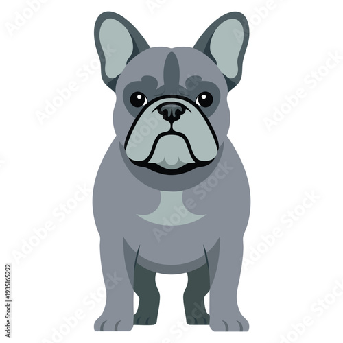 Cartoon illustration of gray french bulldog standing on four legs, adorable pet character design ideal for animal lover, veterinary and mascot themes