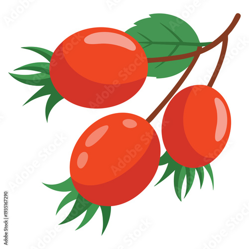 Cartoon vector vitamin rosehip icon featuring berry food and red fruit concept, perfect for wellness, natural nutrition and herbal product visuals