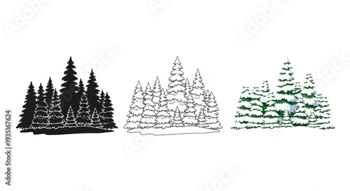 Collection of three distinct graphic styles depicting a dense forest grouping of pine trees suitable for various seasonal design projects and illustration needs