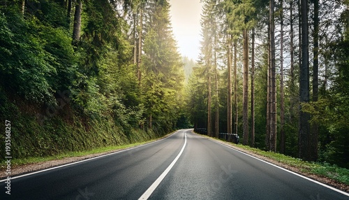 Path Road Asphalt Route Travel Walk Highway Road Markings Street Forest Nature