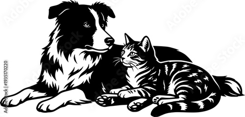 Border Collie dog and a tabby cat lying together. Vintage woodcut style, friendship between pets concept.