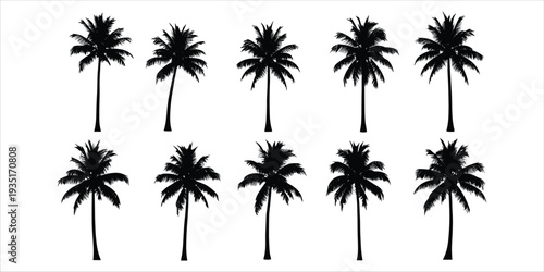 Ten Black Silhouettes Of Palm Trees In Two Rows On White Background Keywords: palm trees, coconut trees, tropical, trees