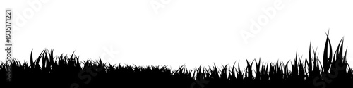 Meadow silhouette with grass, plants on plain. Panoramic summer lawn landscape with herbs, various weeds. Herbal border, frame element. Black horizontal banners. Vector illustration
