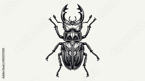 Detailed Illustration of a Stag Beetle with Intricate Patterns.