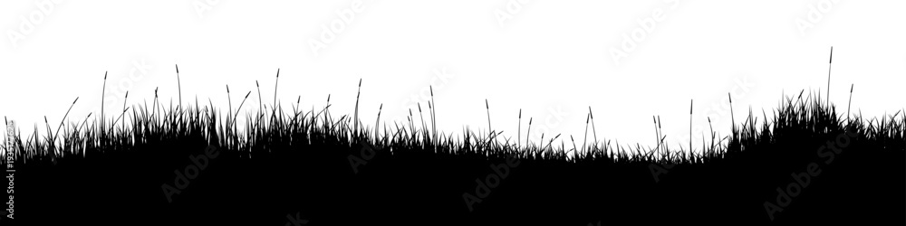 Naklejka premium Meadow silhouette with grass, plants on plain. Panoramic summer lawn landscape with herbs, various weeds. Herbal border, frame element. Black horizontal banners. Vector illustration