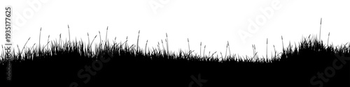 Meadow silhouette with grass, plants on plain. Panoramic summer lawn landscape with herbs, various weeds. Herbal border, frame element. Black horizontal banners. Vector illustration
