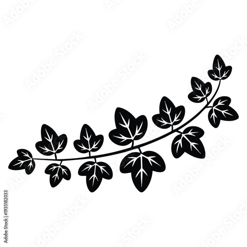 Climbing plant green ivy branch wall creeper garden foliage evergreen natural design element for decoration artwork