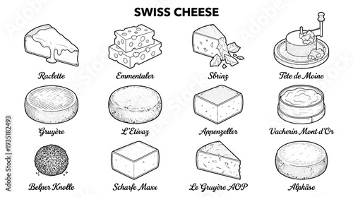 Swiss Cheese Varieties Illustration: Hand-drawn Collection of Iconic Cheeses like Raclette, Emmentaler, Gruyère, and more, with Names.