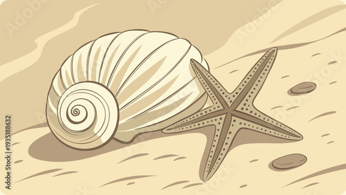 Beautiful seashell and starfish on sandy beach