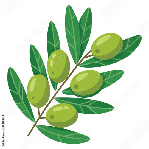 Flat detail style olives branch icon over white background vector illustration suitable for peace organic food nature and healthy themes