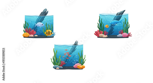 Blue Fish Swimming in Water Tank.