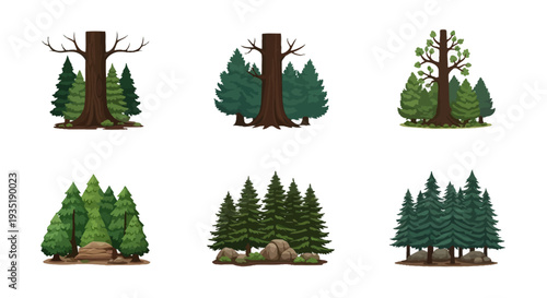 Collection of Various Tree Illustrations.