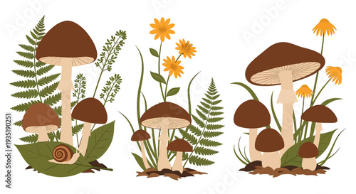 Mushrooms with Leaves and Flowers Illustration.