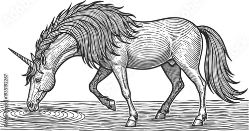 Detailed black and white engraving of a unicorn drinking from water with flowing mane and tail
