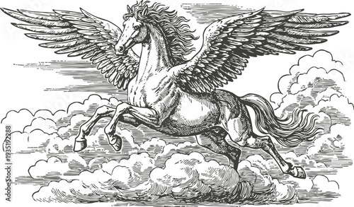 Winged horse pegasus flying above clouds with detailed vintage engraving illustration