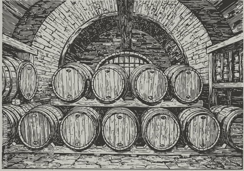 Old rustic wine cellar with wooden barrels stacked in stone arched room vintage illustration