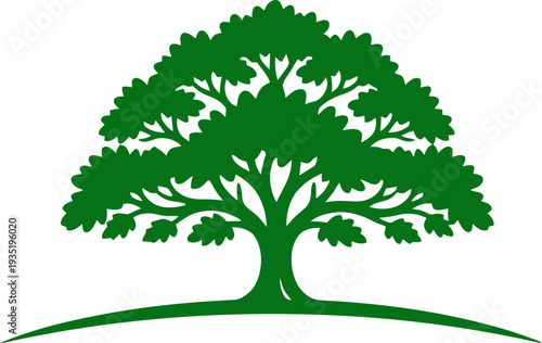 Oak Tree on Hill Silhouette