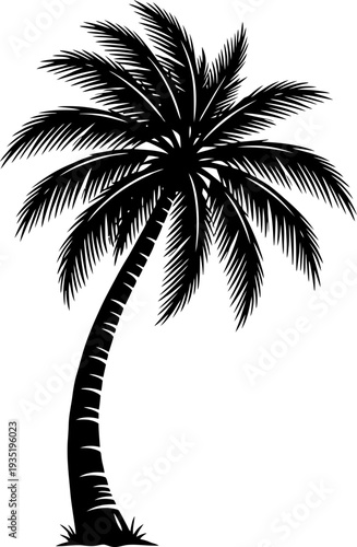 Leaning Palm Tree Silhouette