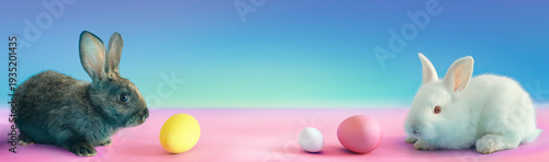 Easter Bunnies With Eggs On Minimal Background