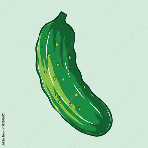 Fresh green cucumber vegetable vector art isolated on light green background with textures