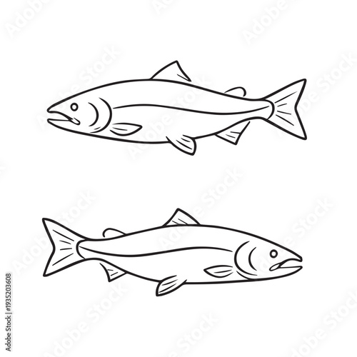 Clean vector graphic of two salmon fish shown in a simple and modern outline style.