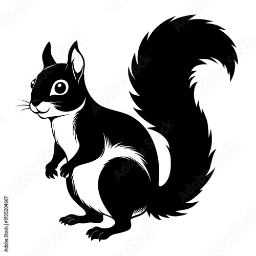 Squirrel black and white isolated vector illustration on white background.