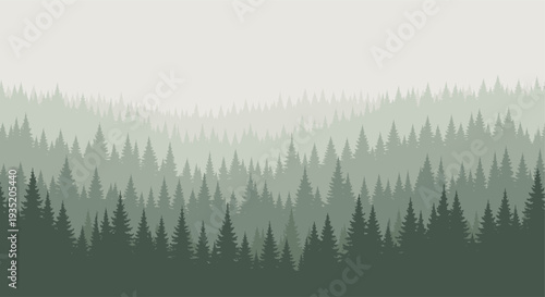 Layers of evergreen pine trees form a misty silhouette against a foggy background, evoking a tranquil and serene mood, perfect for travel, nature, or environmental themes.