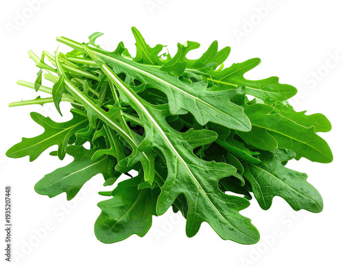 Fresh green leafy vegetables, a healthy and vibrant bunch