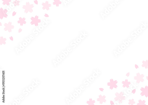 背景　角に桜の花　白背景