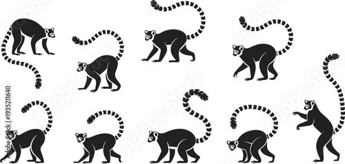 Collection of black silhouettes of ring-tailed lemurs in various poses untitled