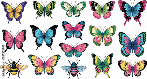 Colorful Butterfly Collection with Detailed Wings and Bee Insect Illustrations Vector Illustration Set