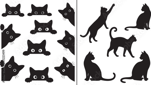 Peeking Black Cats and Climbing Feline Shapes