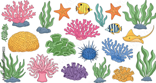 Colorful Coral Reef Elements Collection with Seaweed, Starfish, Tropical Fish and Underwater Marine Plants Vector Illustration Set