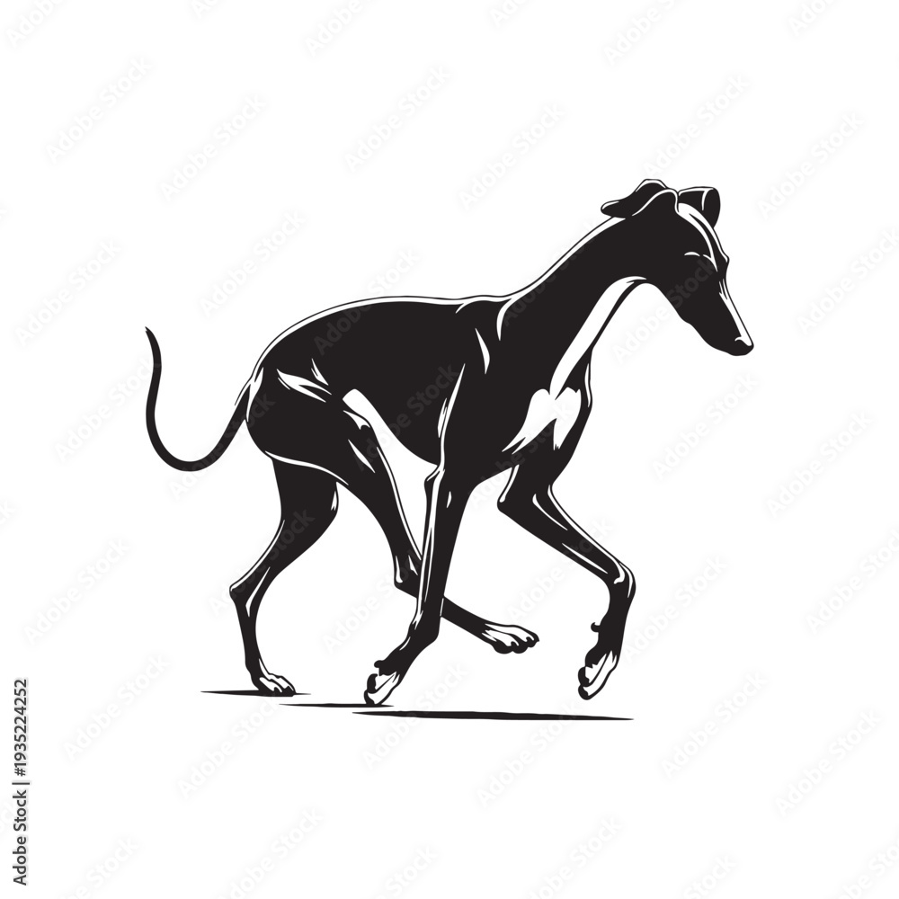 Obraz premium Elegant Italian Greyhound Silhouette – Sleek and Graceful Toy Sighthound Illustration.