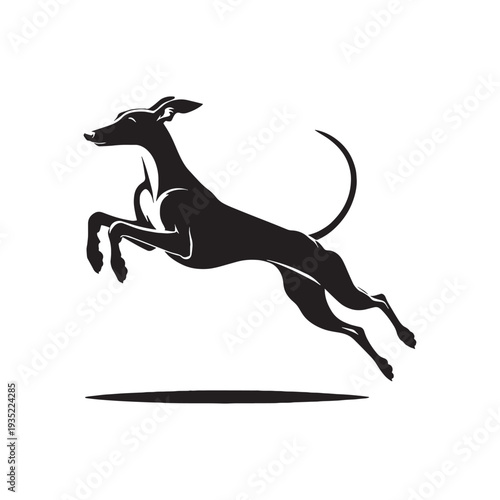 Elegant Italian Greyhound Silhouette – Sleek and Graceful Toy Sighthound Illustration.