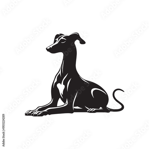 Elegant Italian Greyhound Silhouette – Sleek and Graceful Toy Sighthound Illustration.