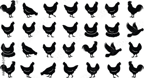 Collection of Various Chicken Silhouettes.