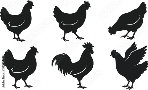 Black Silhouettes of Roosters and Hens.