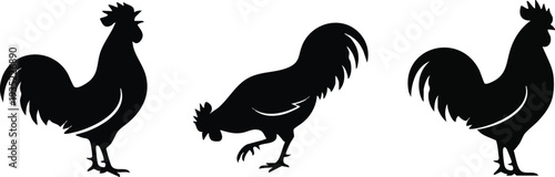 Three black roosters in various poses.