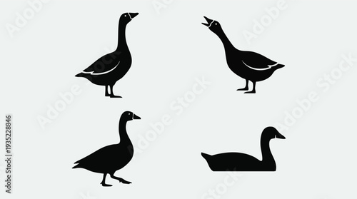 Four Black Duck Silhouettes in Various Poses.