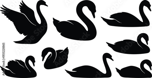 Black Silhouette Swans in Various Positions.