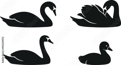 Black Silhouette Swans and Ducks Illustration.
