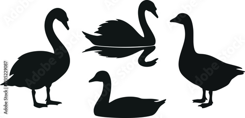 Four Black Silhouette Geese Standing Together.