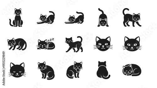 Please provide the sentence and the tags