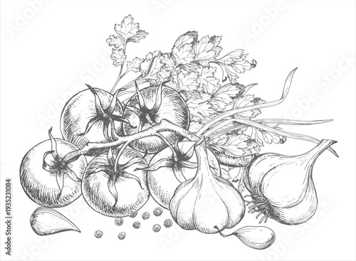 Composition of garlic, tomatoes, parsley, black pepper and green onion. Vector ink handmade elements. For packaging design, cards, cover, prints, product labels and fabric.