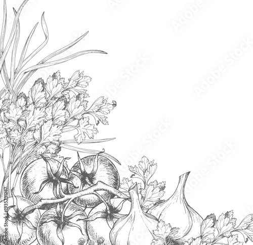 Frame of garlic, tomatoes, parsley, black pepper and green onion. Vector ink handmade elements. For packaging design, cards, cover, prints, product labels and fabric.