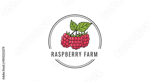 Raspberry Farm Logo with Raspberries Illustration.